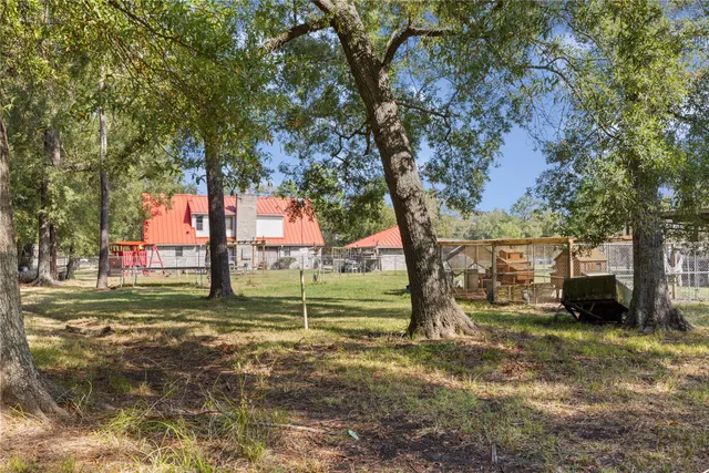 a view of a park with large trees
