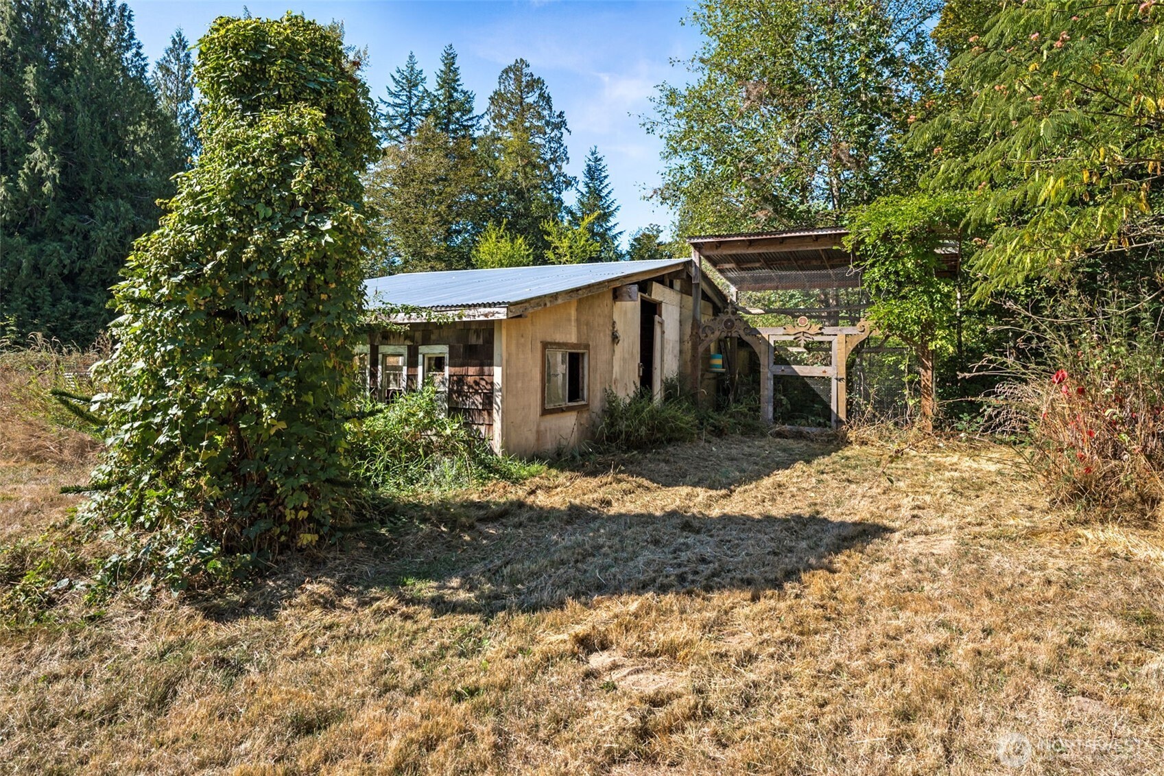 662 Cline Road Randle, WA 98377 - Photo 23 of 36 Gallery Image 23