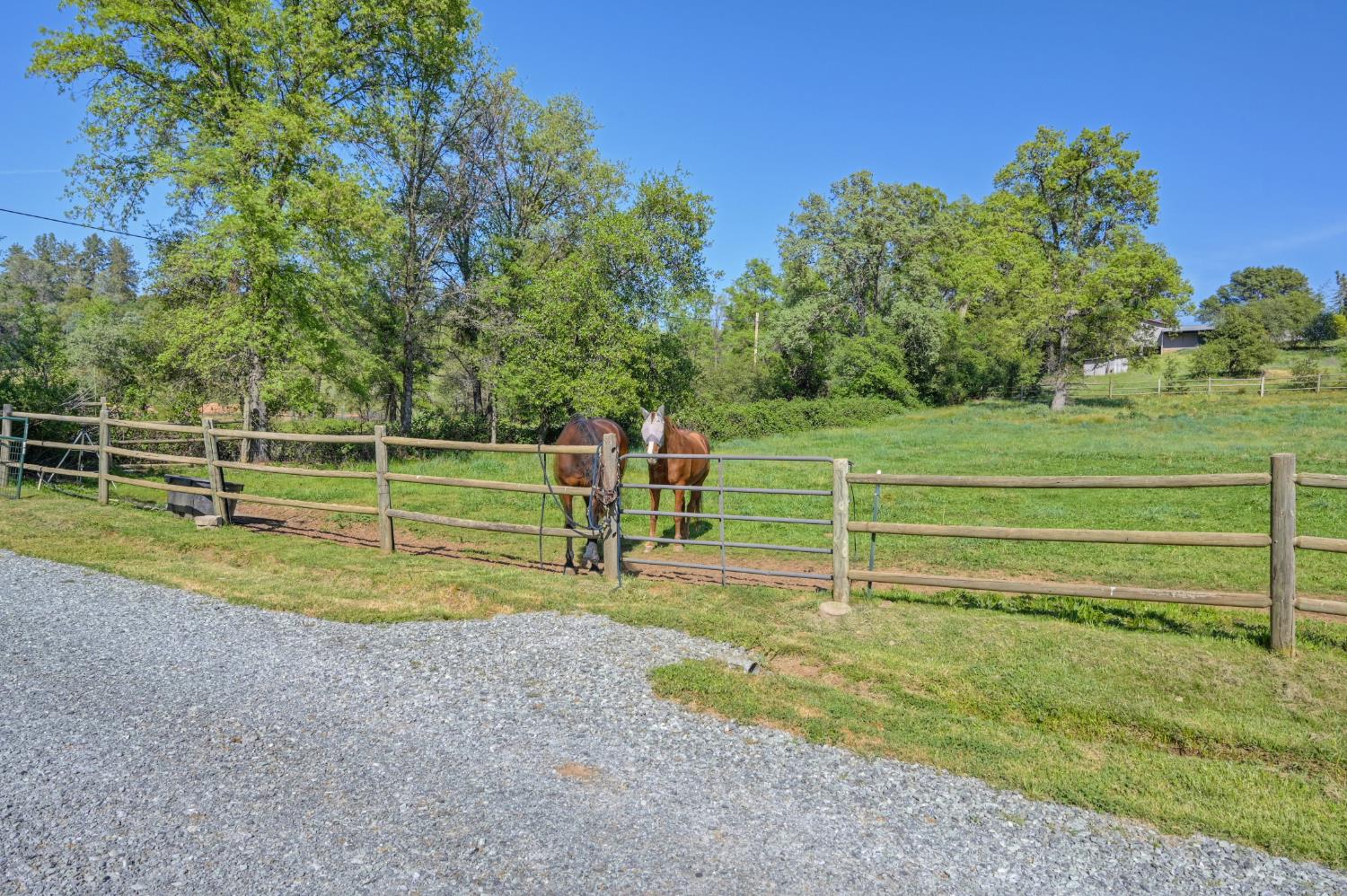 10543 Streeter Road Auburn, CA 95602 - Photo 14 of 92