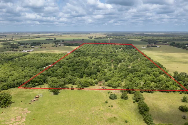$1,950,000 | 2640 County Road 107, Boling, TX 77420
