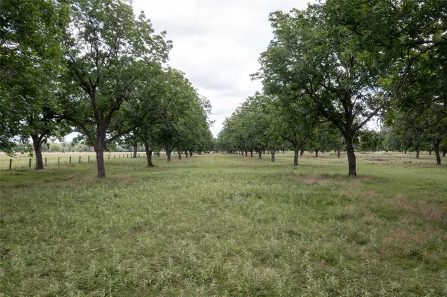 $1,950,000 | 2640 County Road 107, Boling, TX 77420