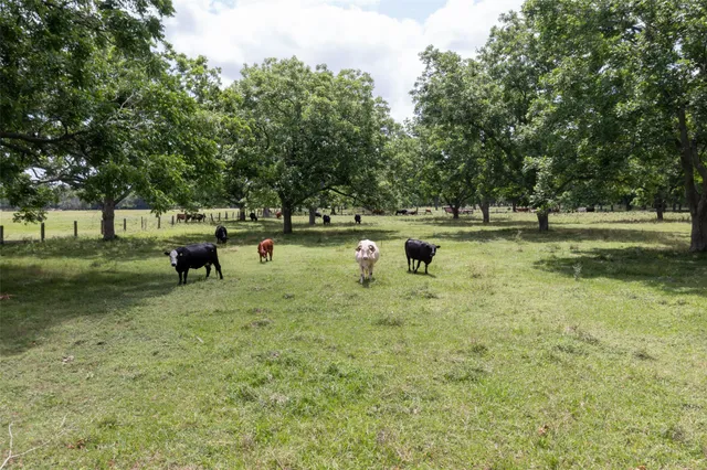 $1,950,000 | 2640 County Road 107, Boling, TX 77420