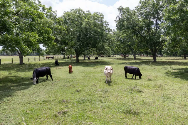 $1,950,000 | 2640 County Road 107, Boling, TX 77420