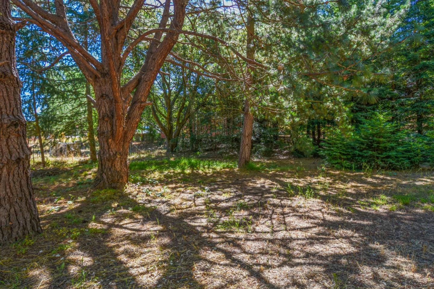 100 Sims Road Santa Cruz, CA 95060 - Photo 11 of 28 Gallery Image 11