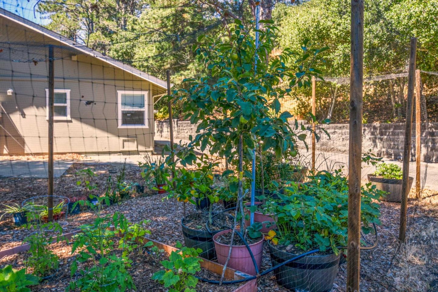 100 Sims Road Santa Cruz, CA 95060 - Photo 28 of 28 Gallery Image 28