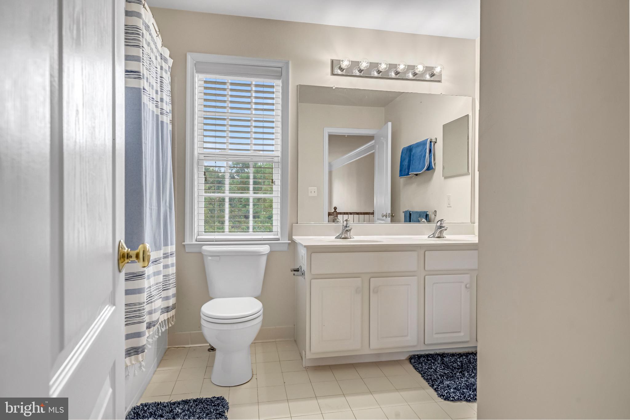 12 Evan Court Brunswick, MD 21758 - Photo 24 of 39 a bathroom with a sink toilet and mirror