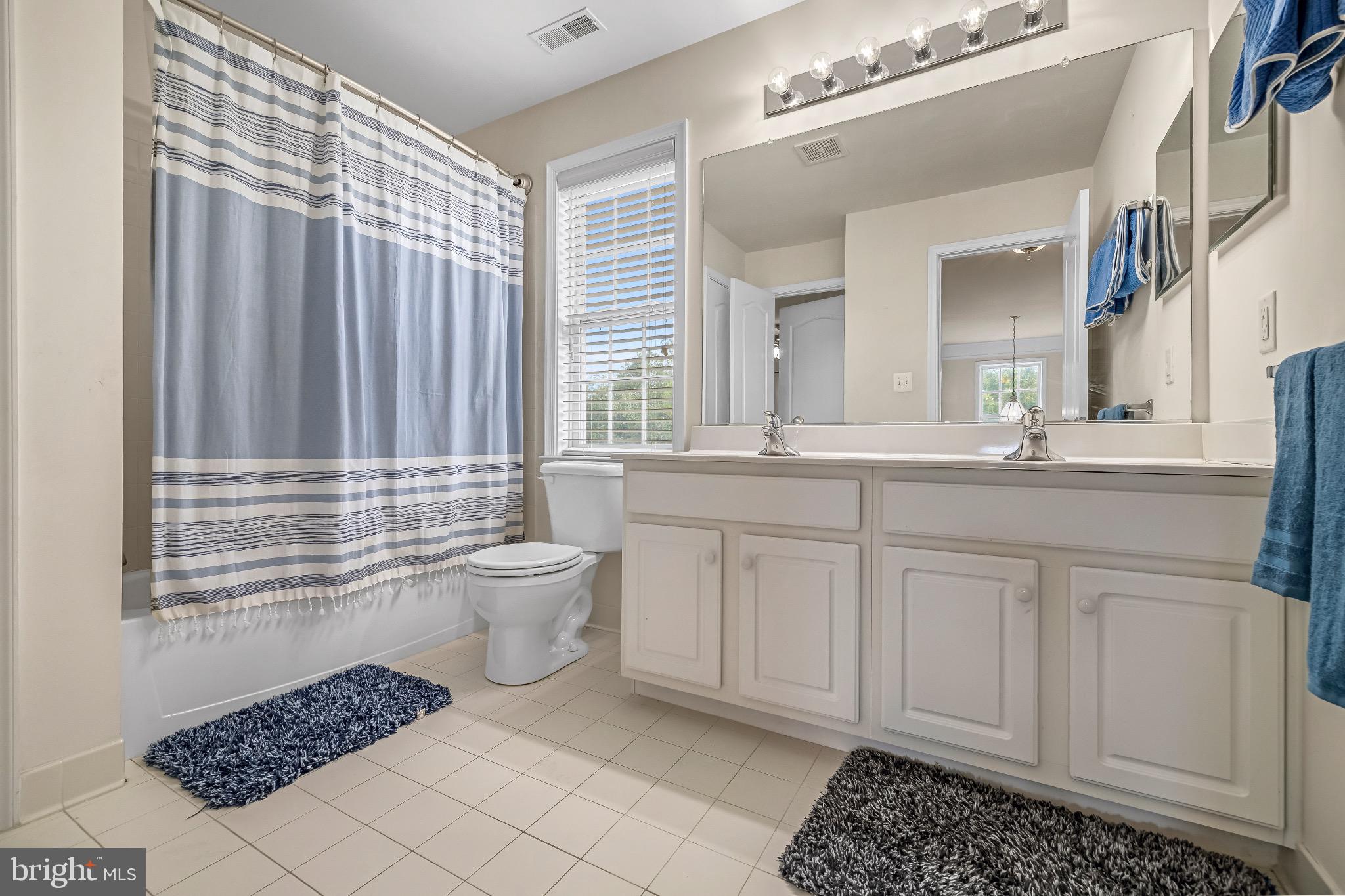 12 Evan Court Brunswick, MD 21758 - Photo 25 of 39 a bathroom with a sink a toilet and mirror