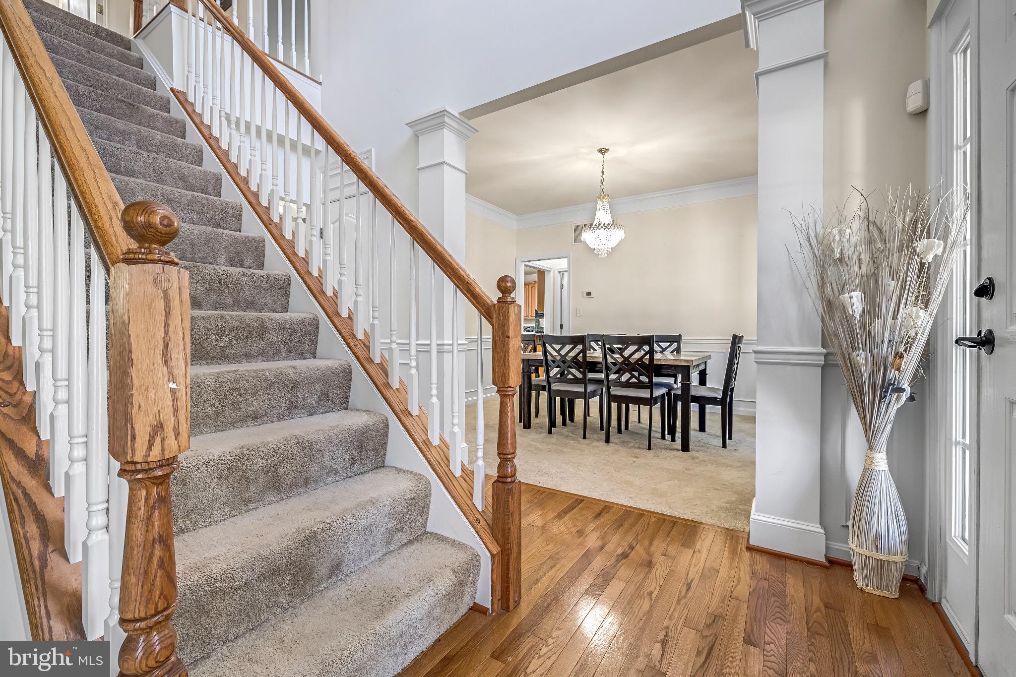 12 Evan Court Brunswick, MD 21758 - Photo 5 of 39 a view of entryway and hall with wooden floor