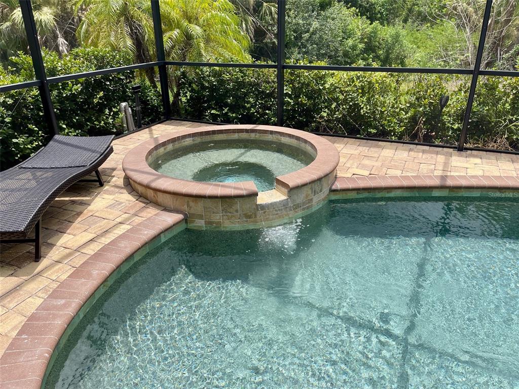 20940 Valore Court Venice, FL 34293 - Photo 34 of 52 a view of a swimming pool with a yard