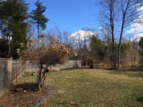 65 Sunset Avenue Amherst, MA 01002 - Photo 23 of 25 Gallery Image 23