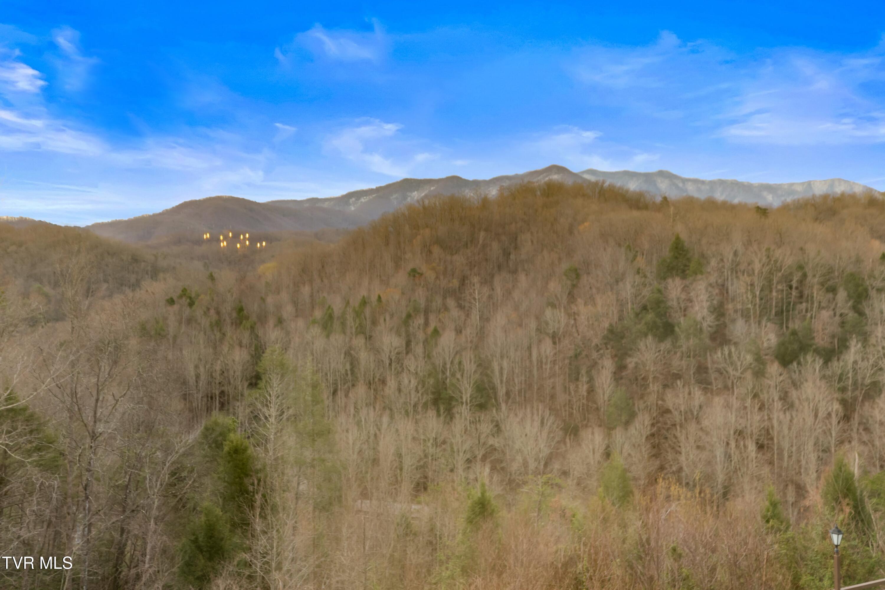 1824 Oriole Road, Unit 206 Gatlinburg, TN 37738 - Photo 13 of 35 013-1824OrioleRoad-206-Gatlinburg-TN-377