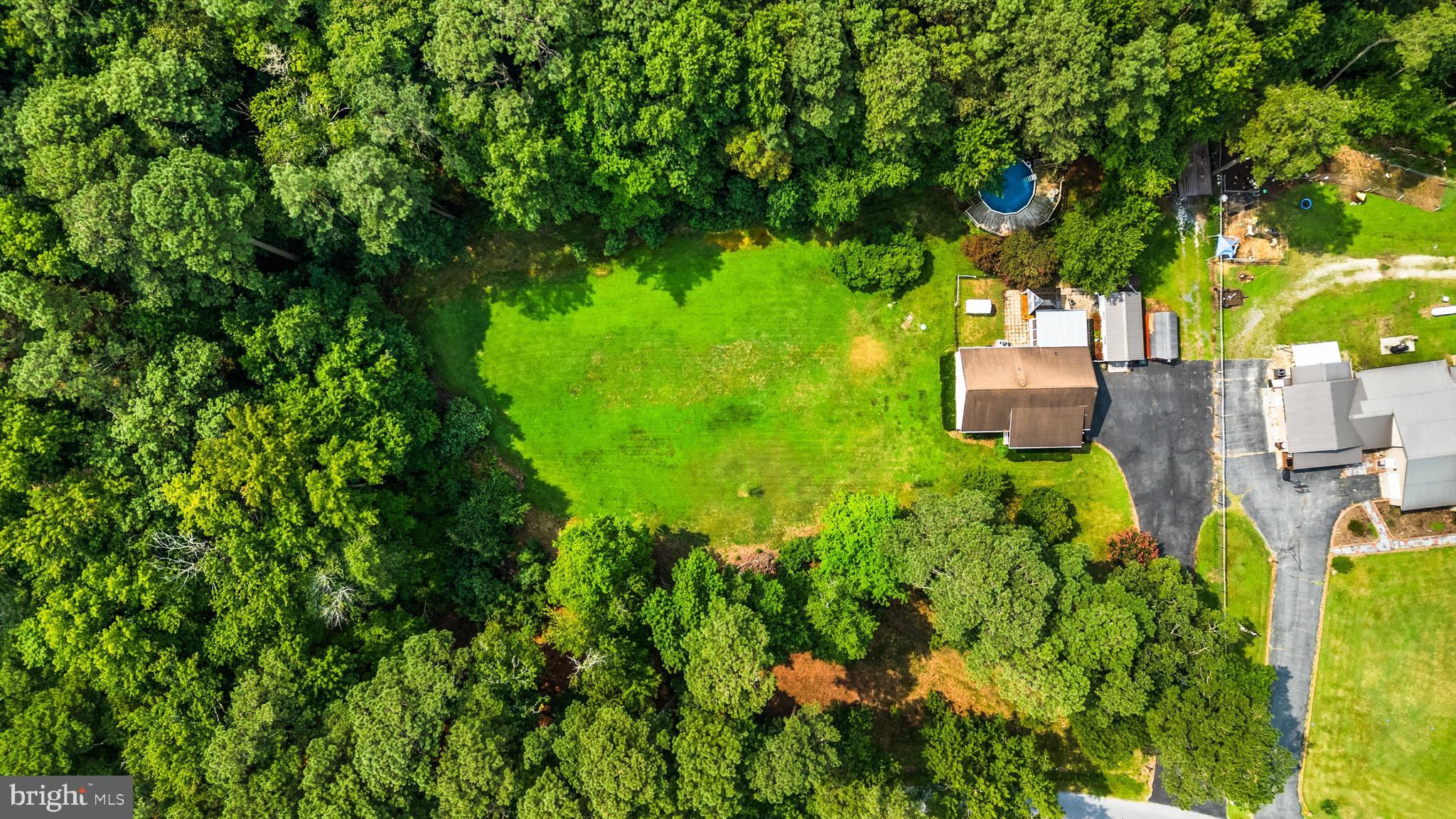 3520 Sheephouse Road Pocomoke City, MD 21851 - Photo 33 of 38 Thats enough yard to play