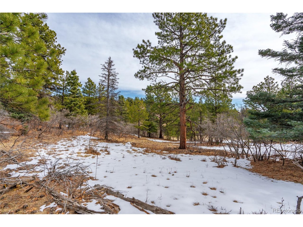 2 Spruce Mountain Road Cotopaxi, CO 81223 - Photo 13 of 27