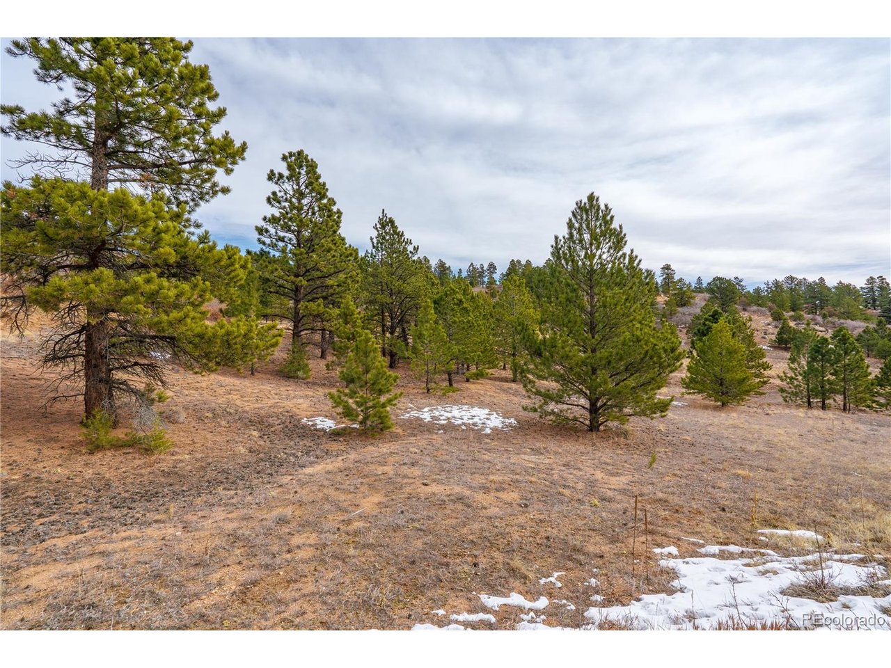 2 Spruce Mountain Road Cotopaxi, CO 81223 - Photo 5 of 27