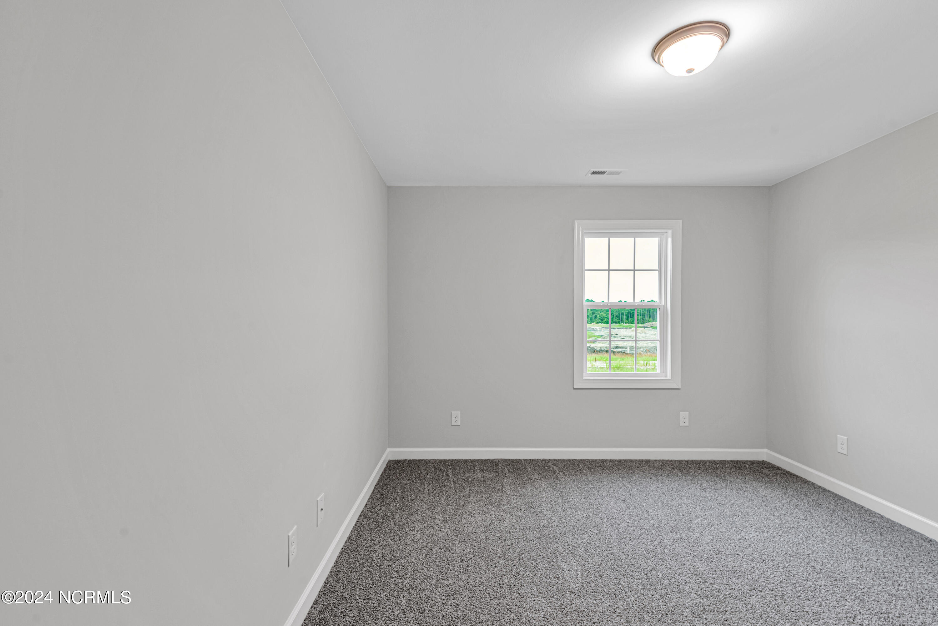 207 Browns Ferry Road Jacksonville, NC 28546 - Photo 39 of 42 DSC_0282
