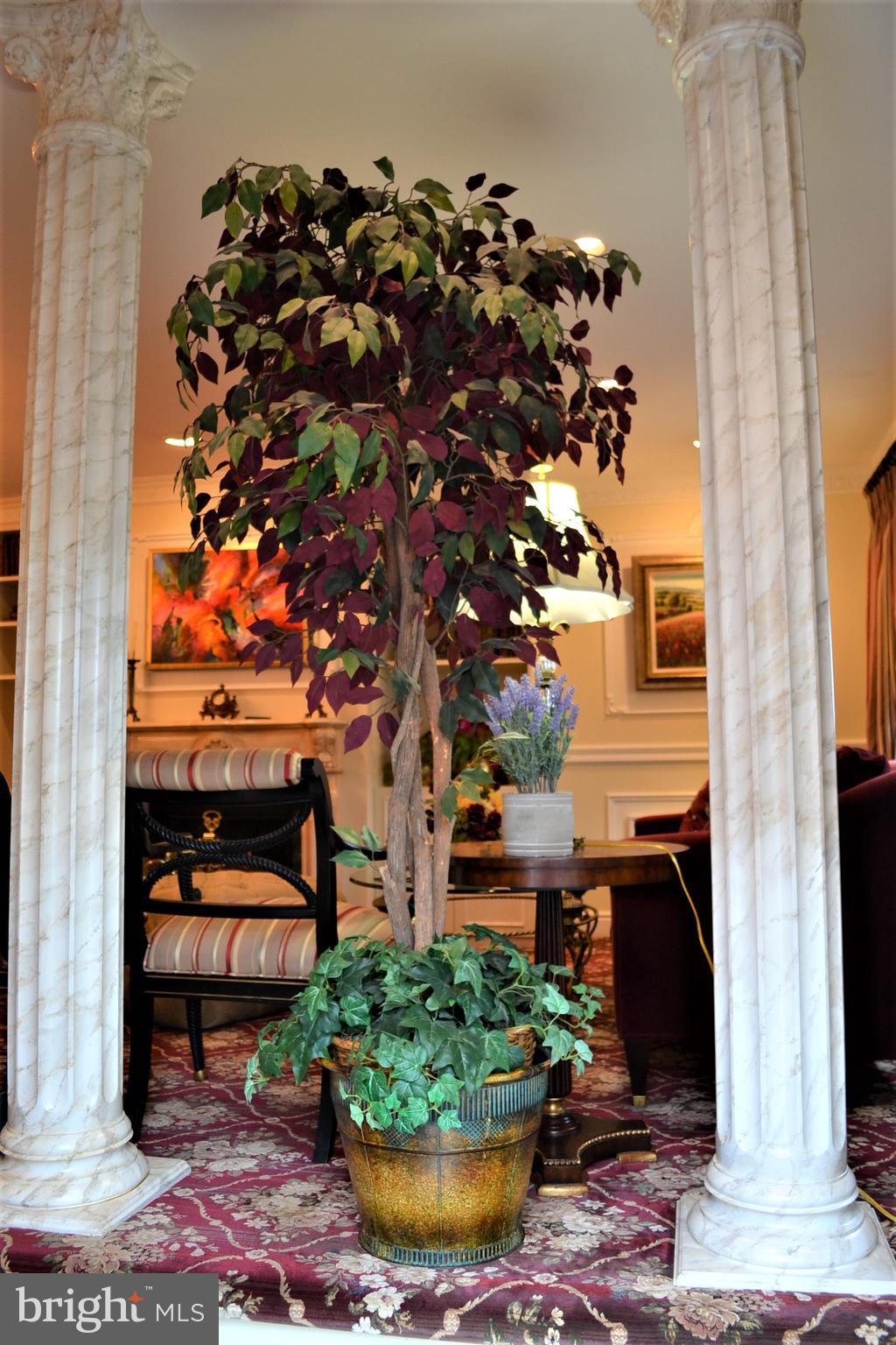 8531 Ridgeway Street Philadelphia, PA 19111 - Photo 3 of 44 Columns gracing the entry foyer