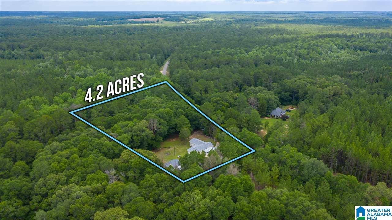 11249 Rockhole Bridge Road Florala, AL 36442 - Photo 3 of 41