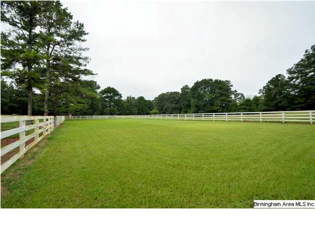 2004 Church Road Pell City, AL 35128 - Photo 9 of 12