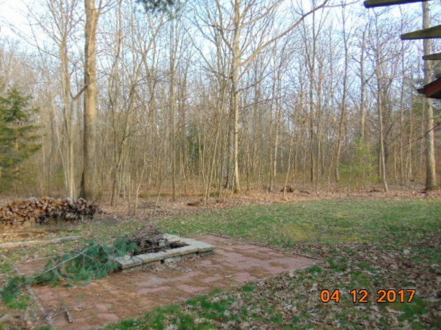 6446 South Walker Road Fruitport, MI 49415 - Photo 36 of 36 Backyard