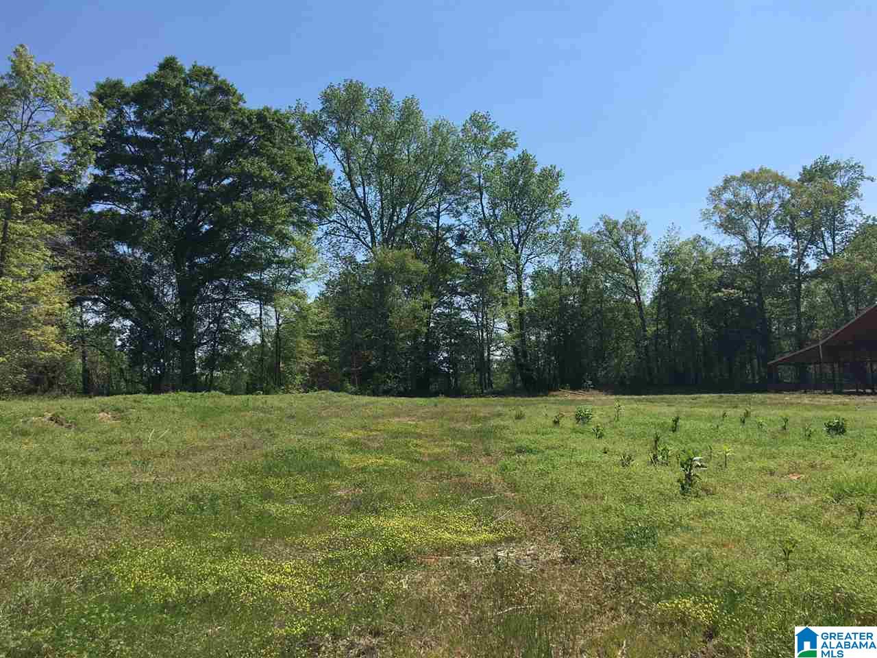 East Mill Street, Unit 37 Lineville, AL 36266 - Photo 10 of 15