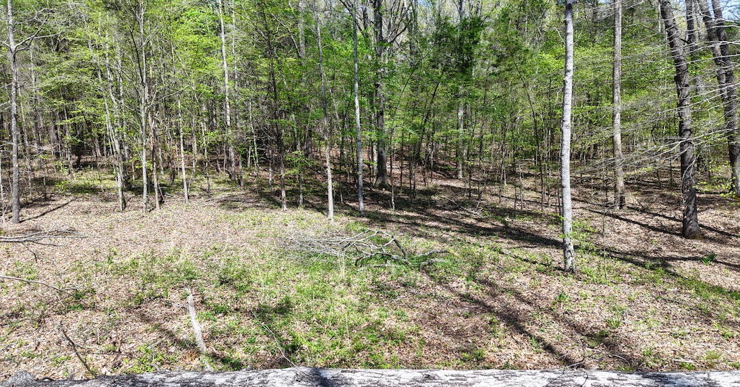 0 Brown Hollow Road Lyles, TN 37098 - Photo 20 of 24