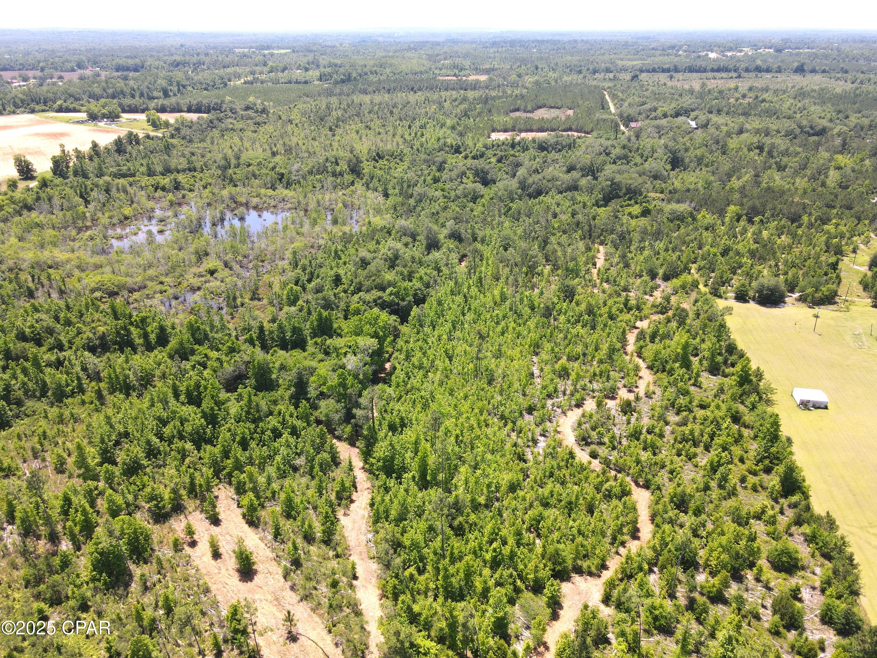 0 Bethlehem Road Cottondale, FL 32431 - Photo 15 of 28