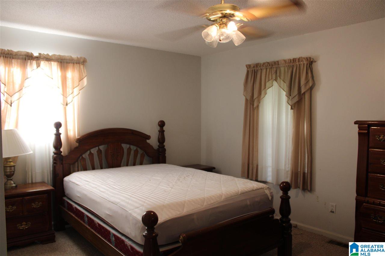5042 Snowville Brent Road Dora, AL 35062 - Photo 4 of 17