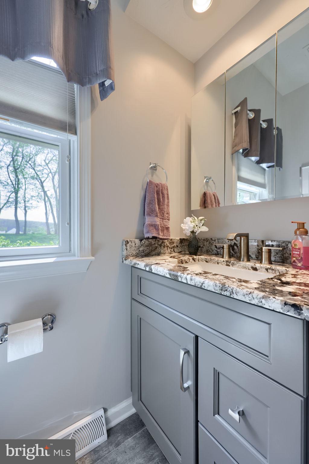 2702 Chestnut Run Road York, PA 17402 - Photo 22 of 65 a bathroom with a granite countertop sink and a mirror