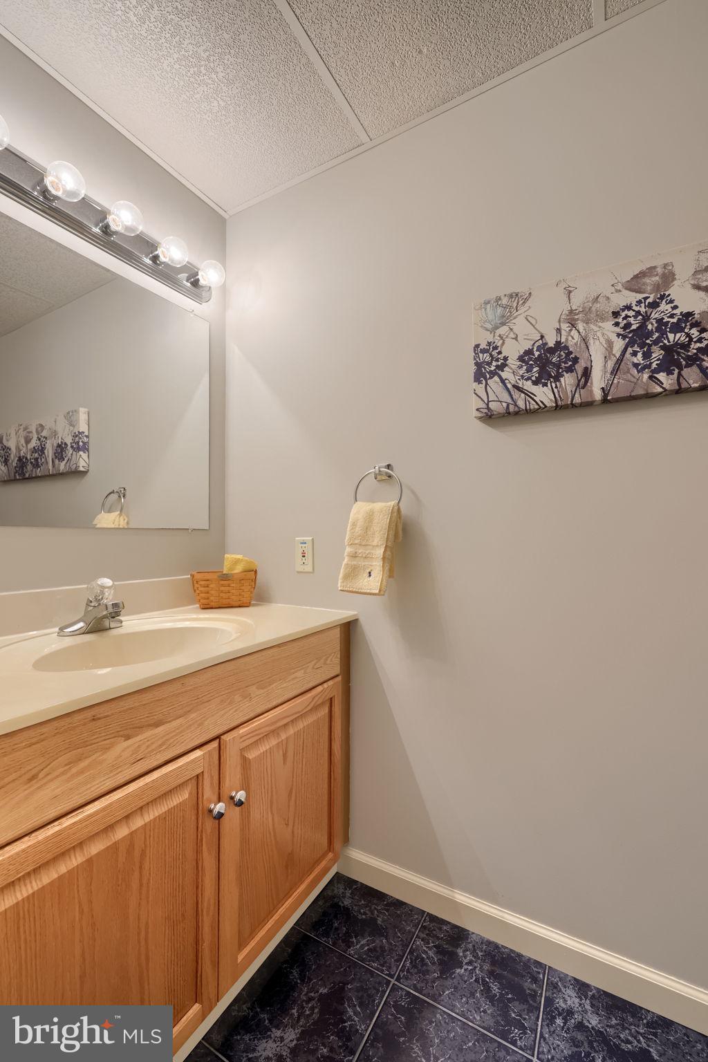2702 Chestnut Run Road York, PA 17402 - Photo 48 of 65 a bathroom with a sink and a mirror