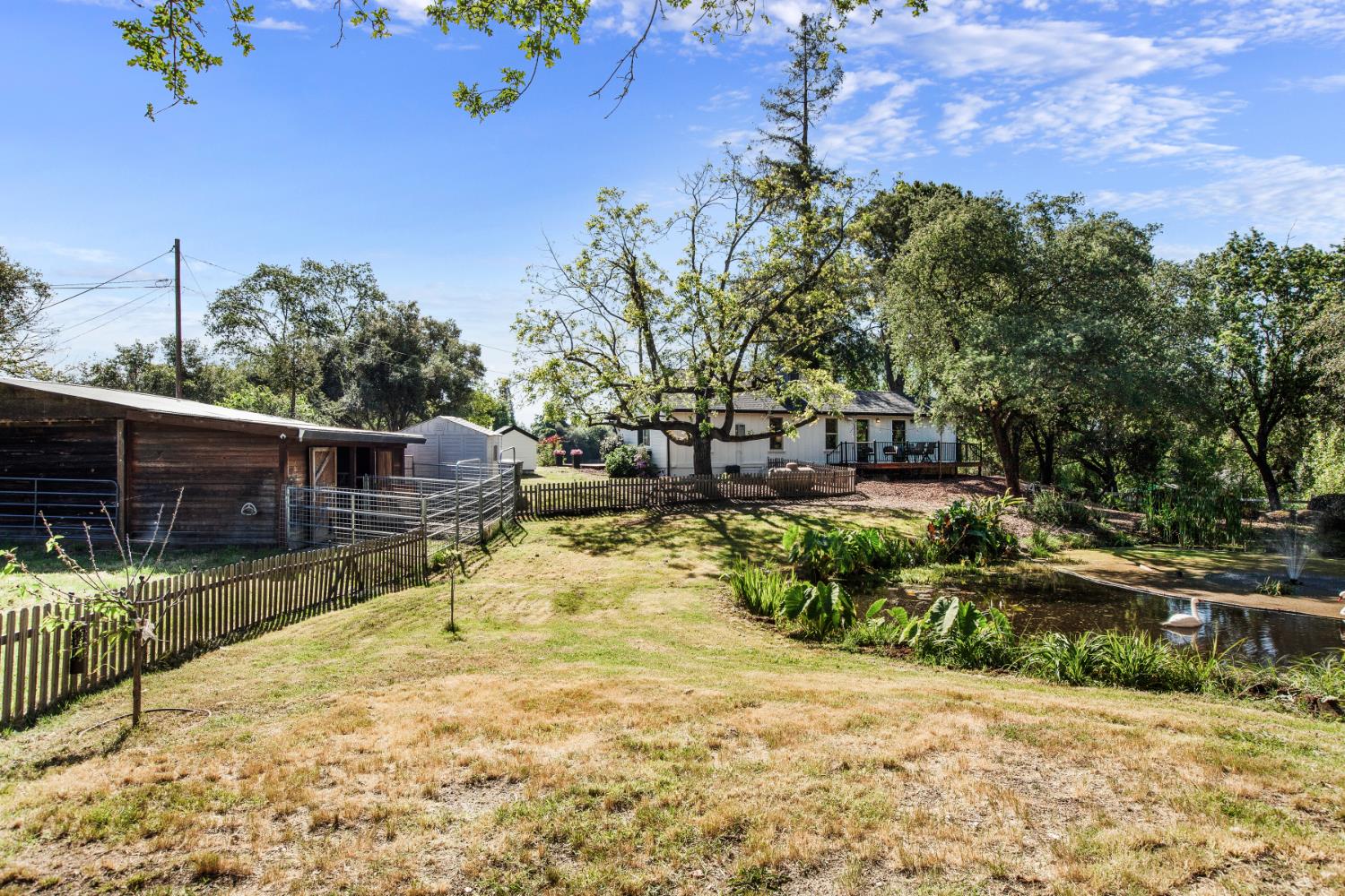 9256 Horseshoe Bar Road Loomis, CA 95650 - Photo 36 of 54