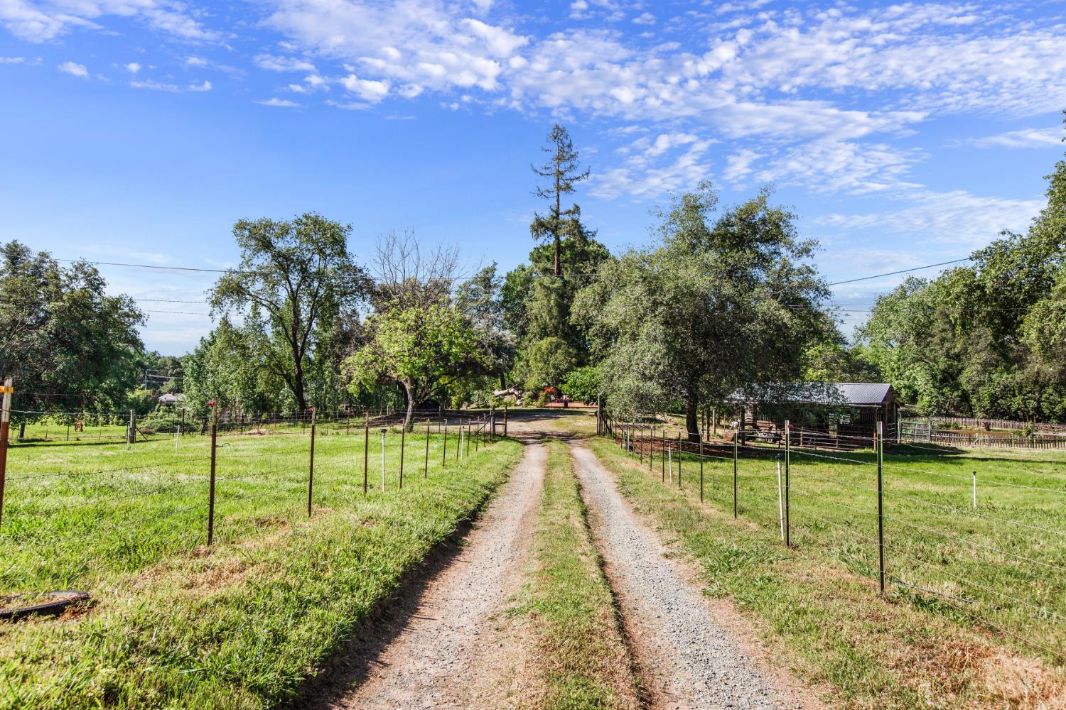 9256 Horseshoe Bar Road Loomis, CA 95650 - Photo 39 of 54