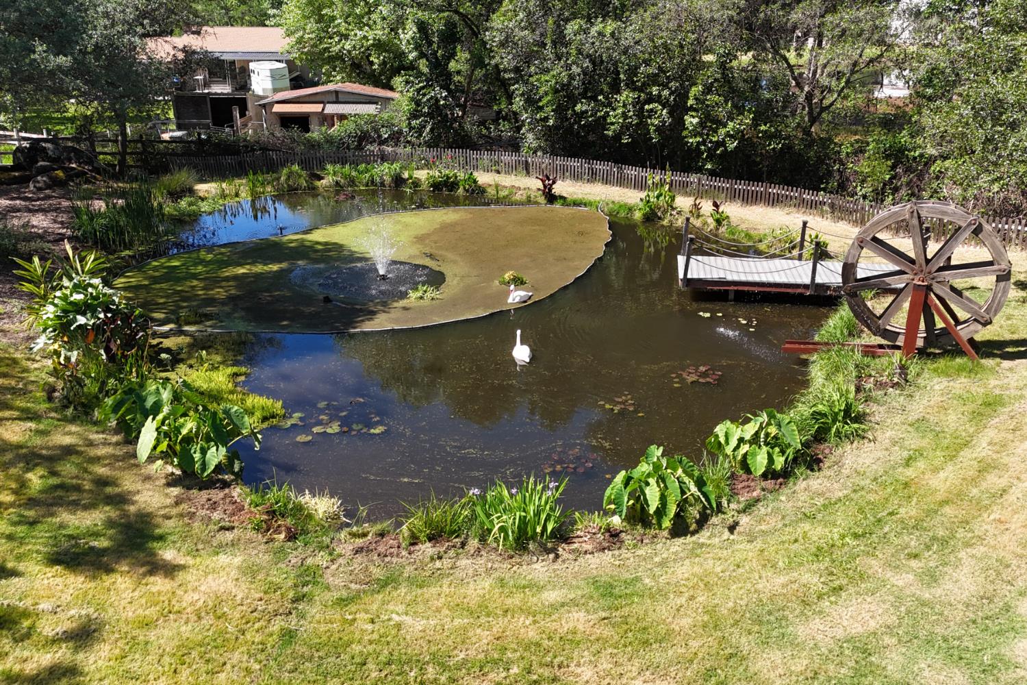 9256 Horseshoe Bar Road Loomis, CA 95650 - Photo 44 of 54