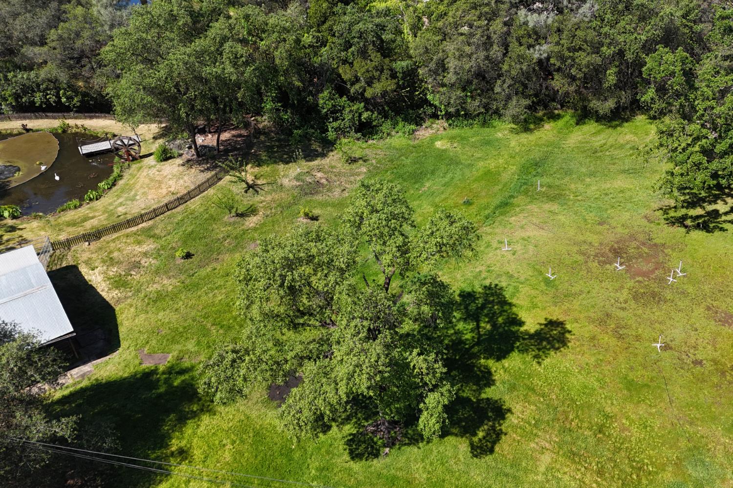 9256 Horseshoe Bar Road Loomis, CA 95650 - Photo 48 of 54