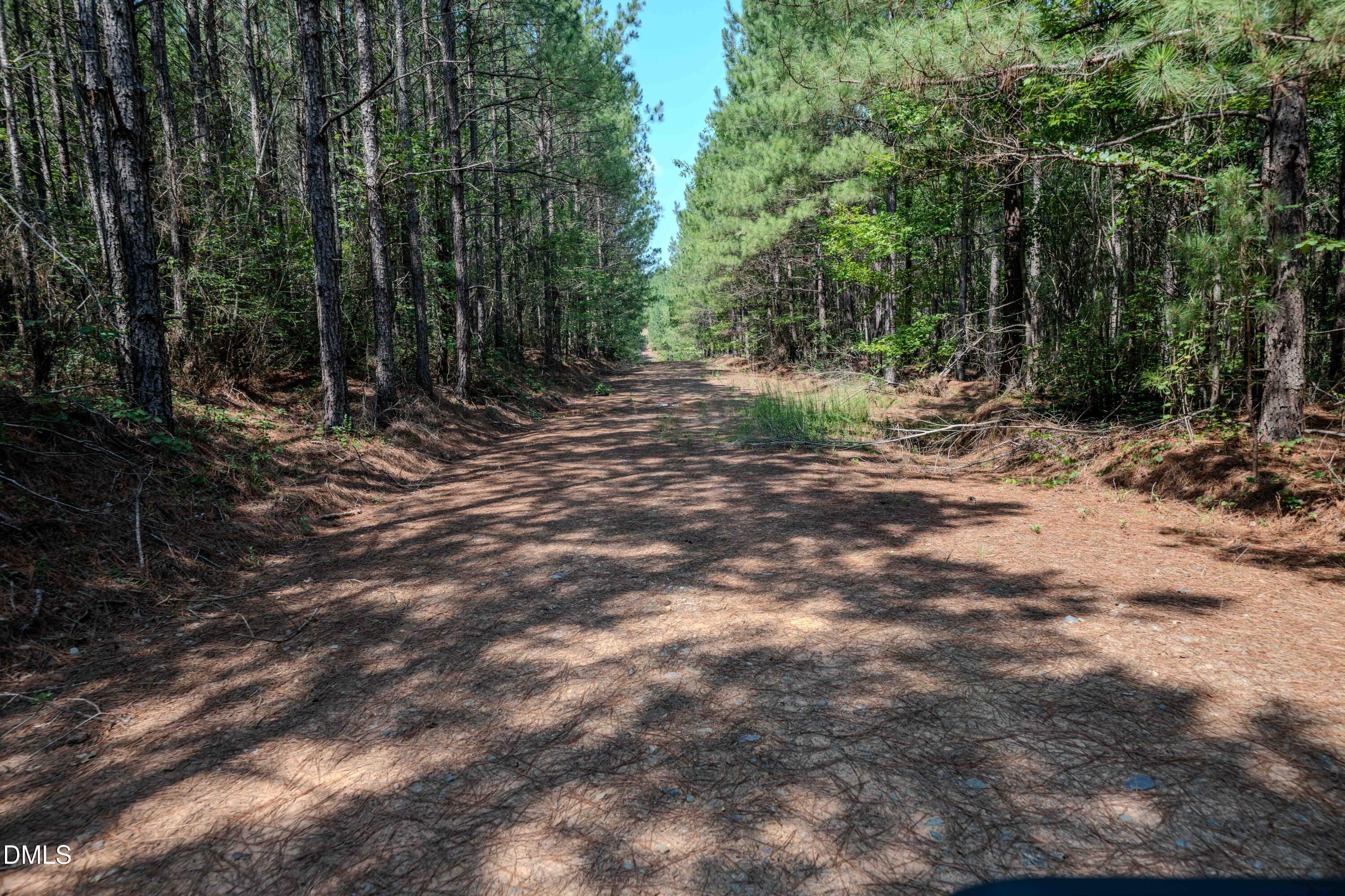 0 Haw Branch Road Sanford, NC 27330 - Photo 25 of 41 Chatham Lumber 77.2 Ground-12