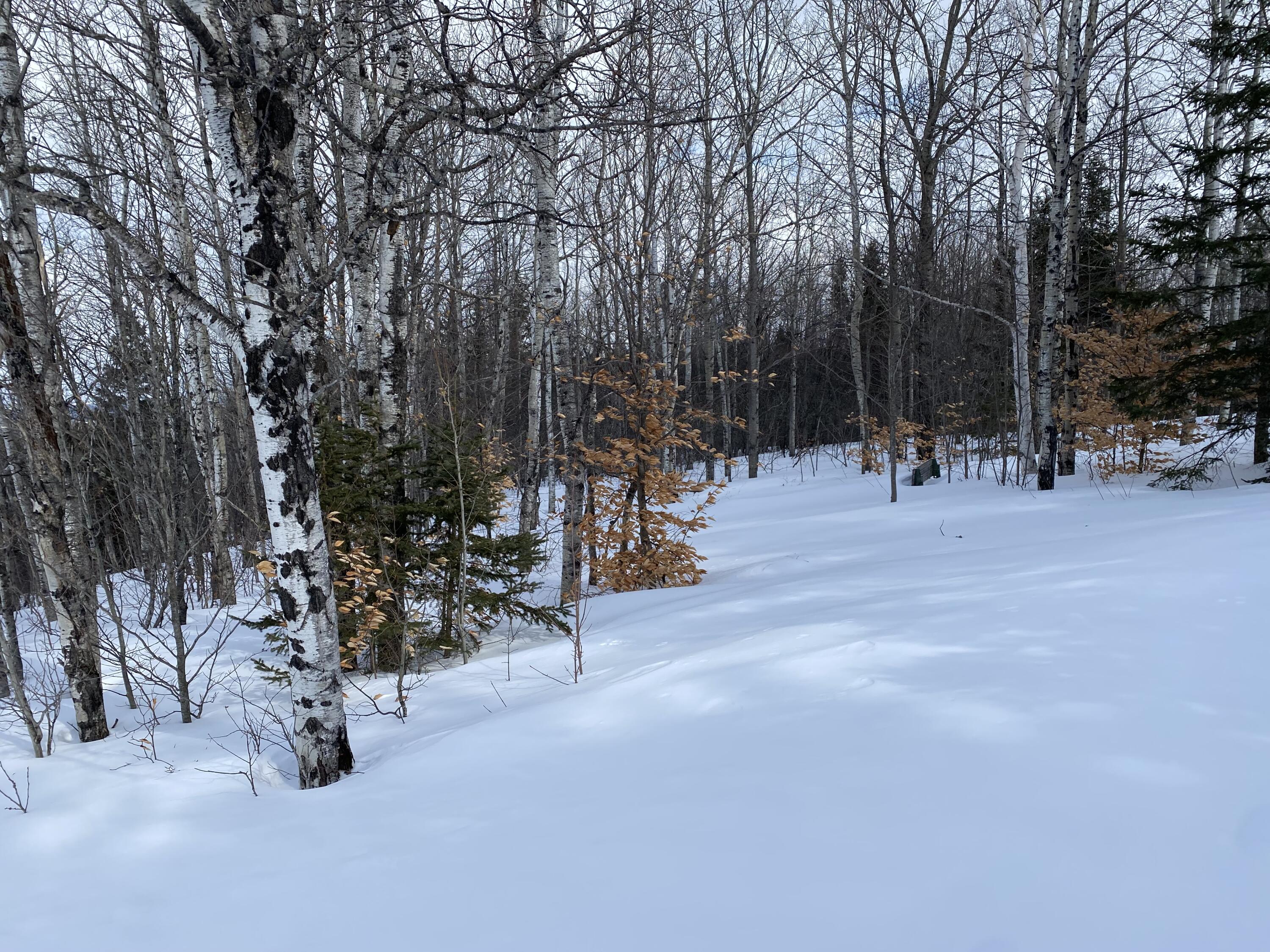 749 Pulcifur Road Mapleton, ME 04757 - Photo 61 of 65 IMG_9672