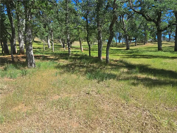 $30,000 | 3128 Wolf Creek Road, Clearlake Oaks, CA 95423