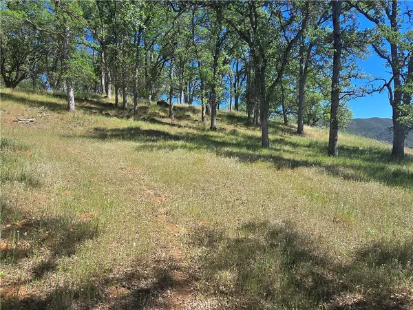 $30,000 | 3128 Wolf Creek Road, Clearlake Oaks, CA 95423