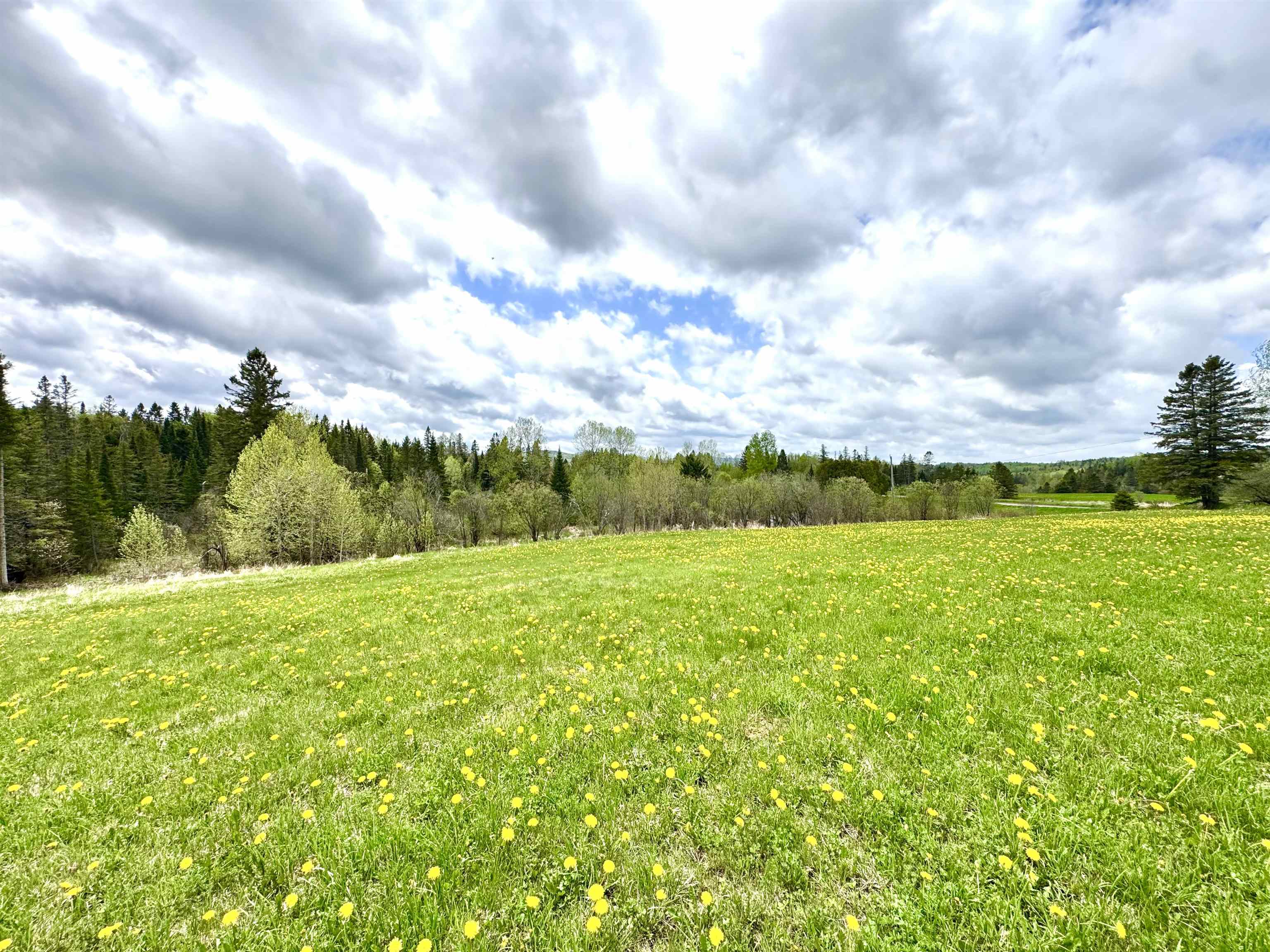 241-18 Golf Links Road Colebrook, NH 03576 - Photo 6 of 16