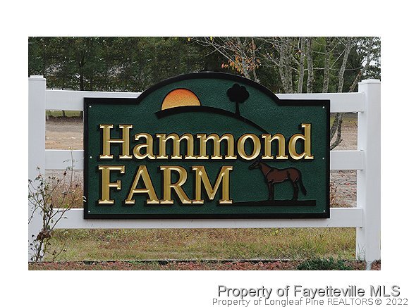 546 Hammond Farms Road Hope Mills, NC 28348 - Photo 10 of 10 Gallery Image 10