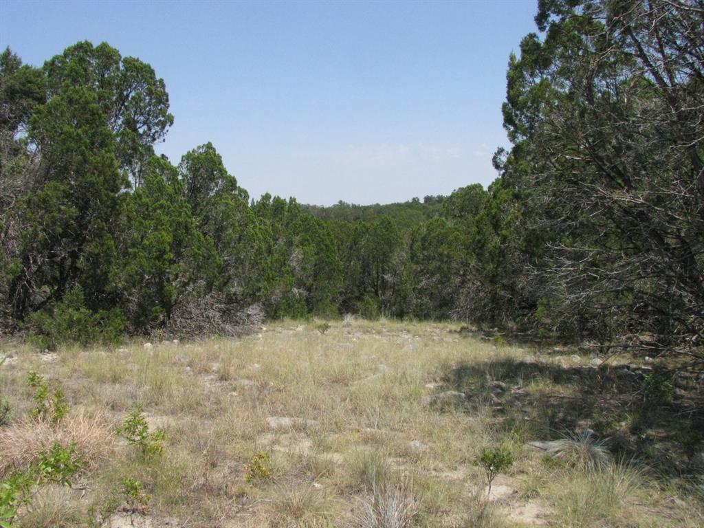 Lot 11-ph Private Road Evant, TX 76525 - Photo 18 of 25 Gallery Image 18