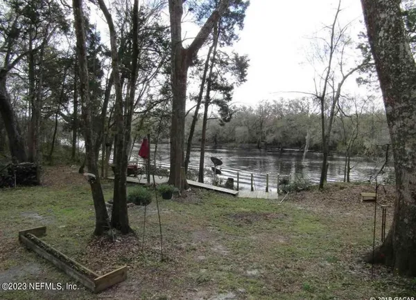 a view of a backyard with trees