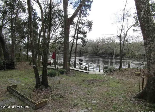 a view of a backyard with trees