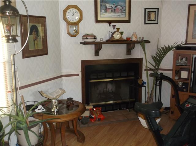 127 Sparrow Road Lafayette, TN 37083 - Photo 5 of 12 Working fireplace.