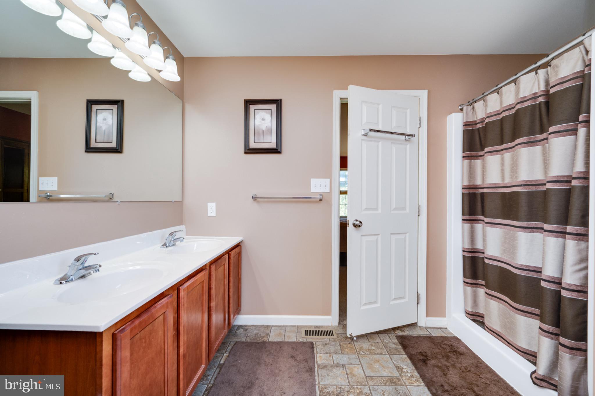 43 Thayer Road Birdsboro, PA 19508 - Photo 35 of 47 Elegant bathroom with modern finishes.