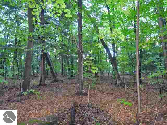 65 West Traverse Lake Road Cedar, MI 49621 - Photo 13 of 18 1746727-12.JPG
