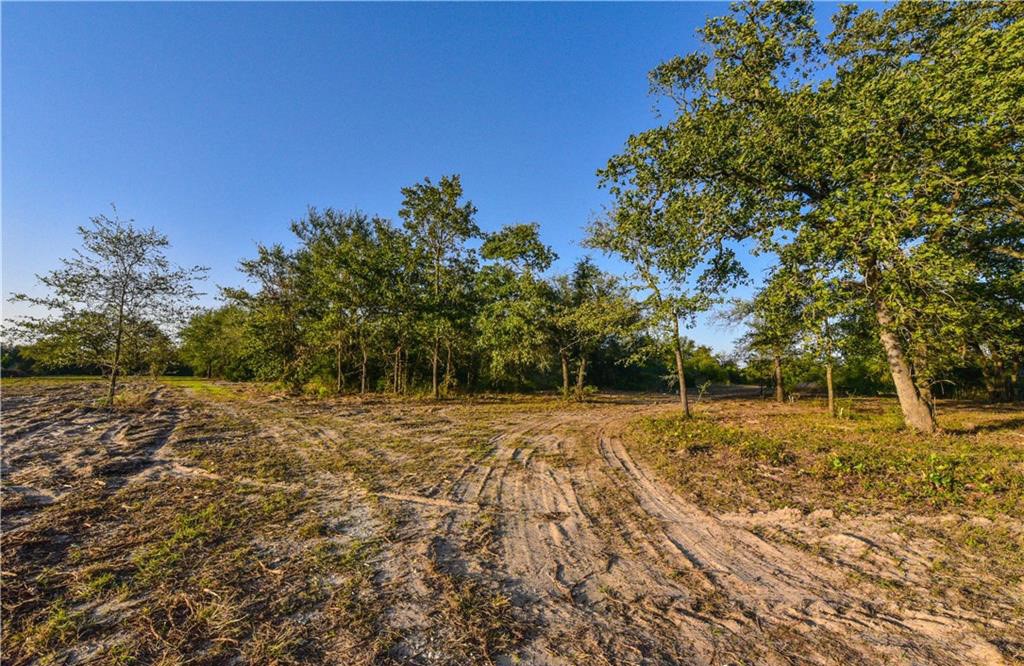 12200 Winn Road Franklin, TX 77856 - Photo 29 of 33 a view of back yard