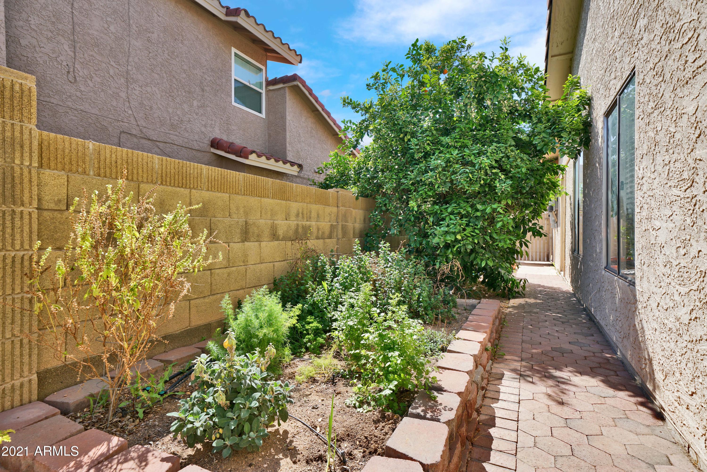 1826 East Redfield Road Phoenix, AZ 85022 - Photo 25 of 34 Herb Garden and Orange Tree