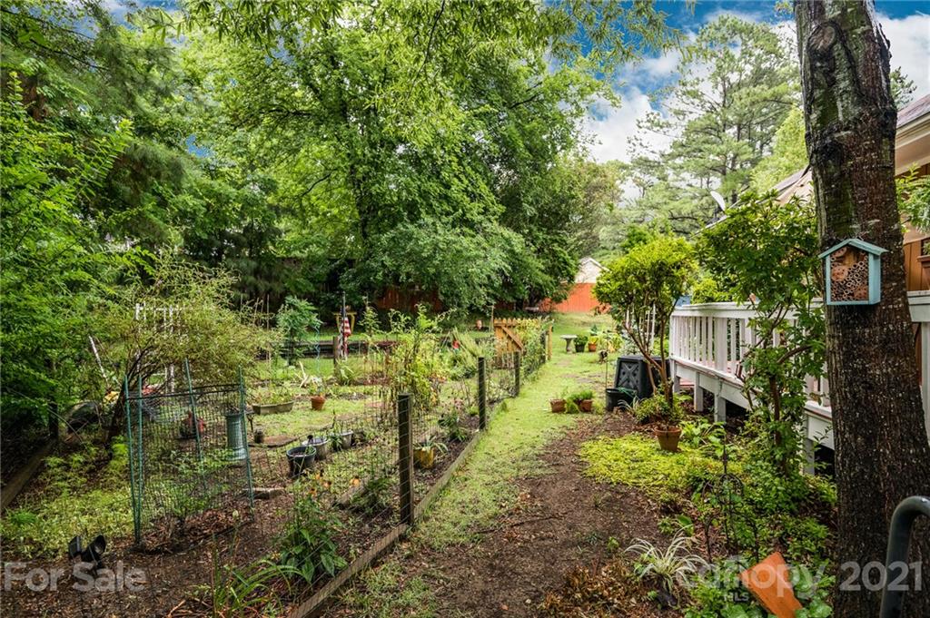 10900 Flat Iron Road Charlotte, NC 28226 - Photo 36 of 44 a backyard of a house with plants and large trees
