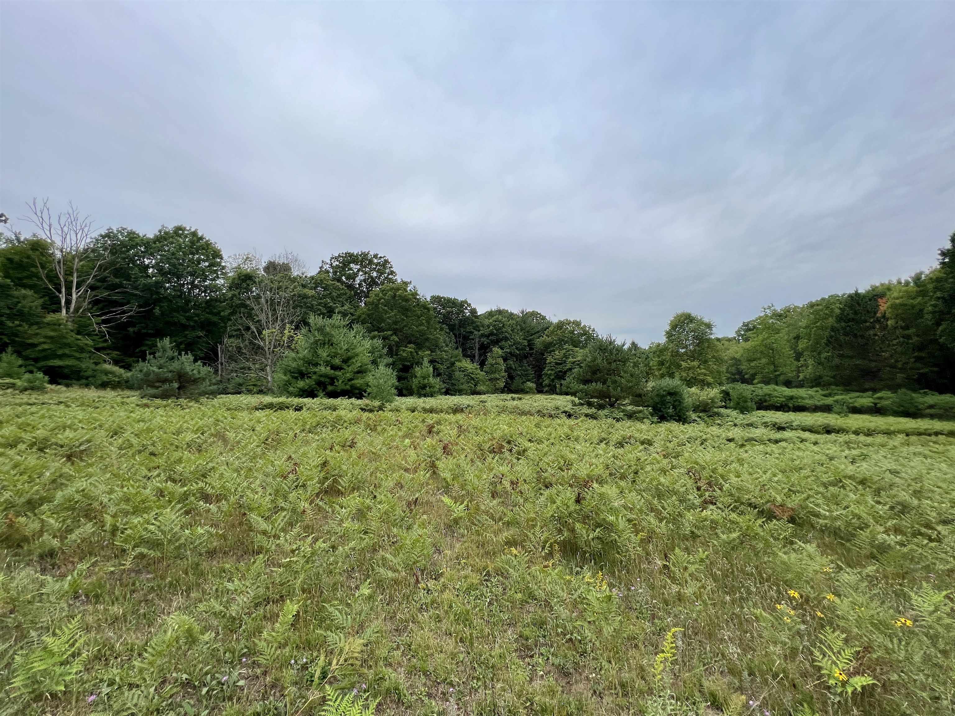9 9 Mile Road Kingsley, MI 49649 - Photo 57 of 66