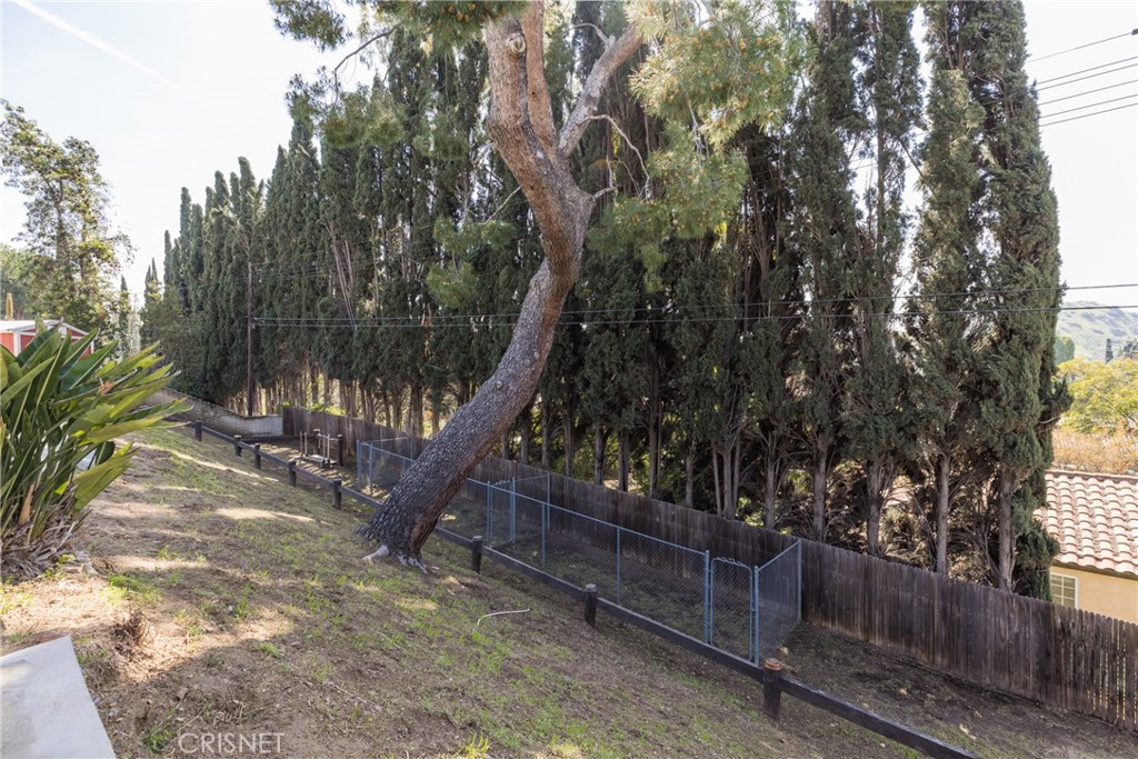 10610 Walnut Drive Shadow Hills, CA 91040 - Photo 44 of 50 a view of a yard with plants and trees